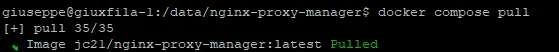 pulling-npm