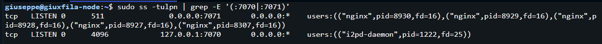 Porte webconsole e Nginx in ascolto