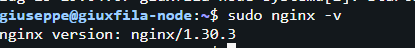 nginx-version